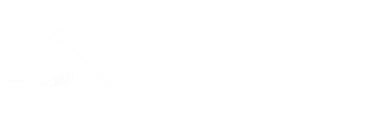 Hämeen Puhallus & Saneeraus